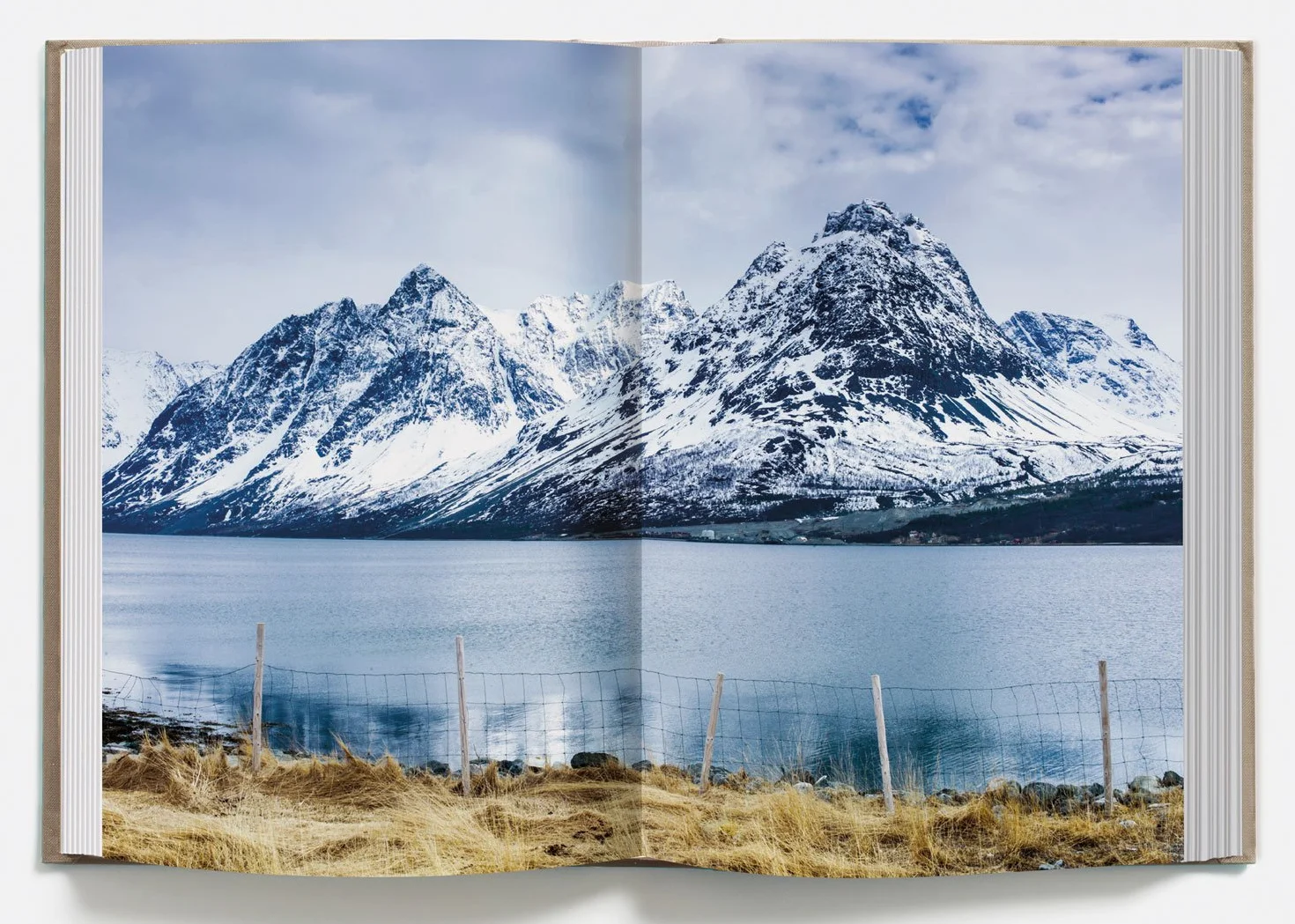 The Nordic Baking Book