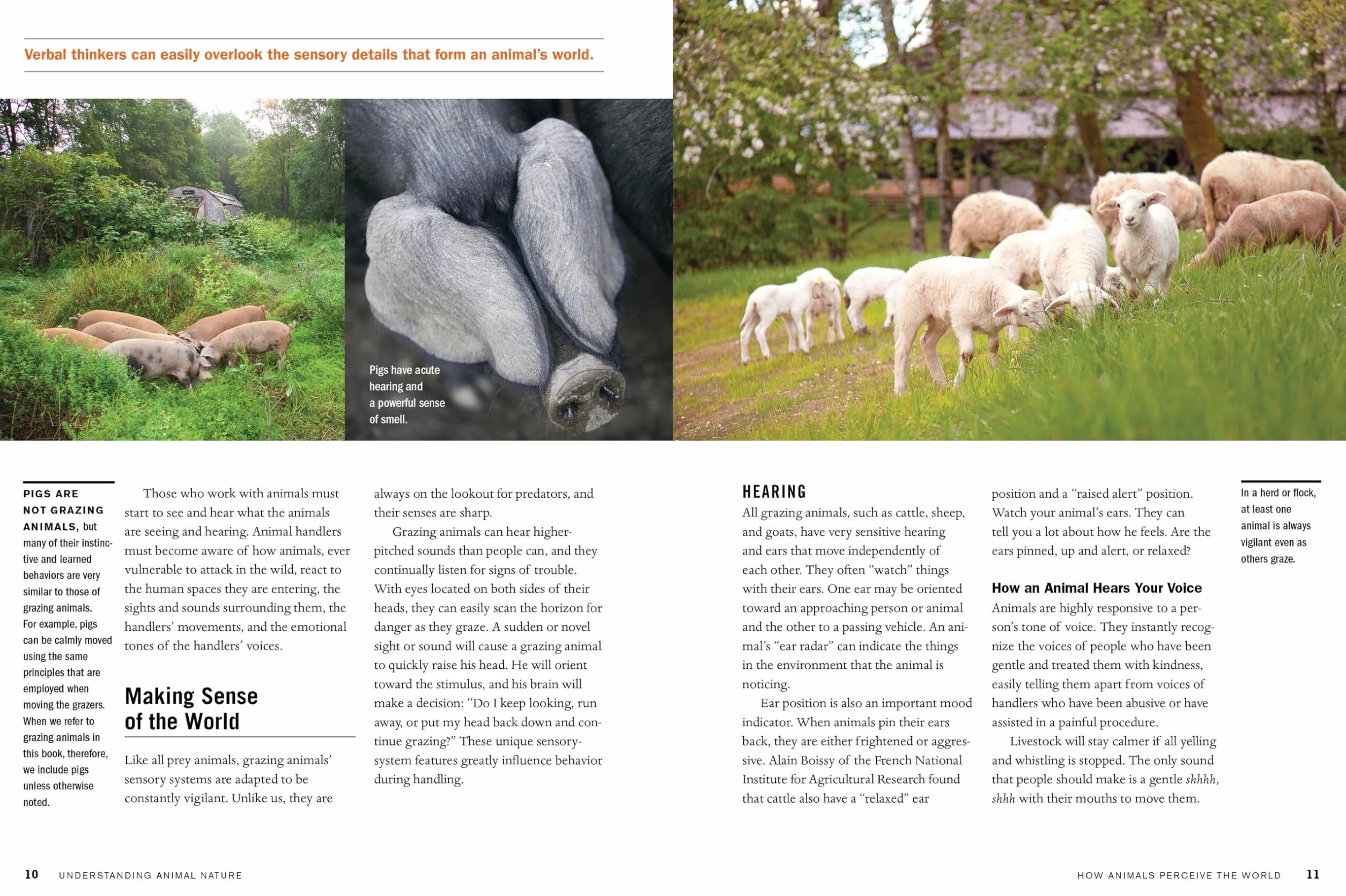 Temple Grandin's Guide to Working with Farm Animals: Safe, Humane Livestock Handling Practices for the Small Farm