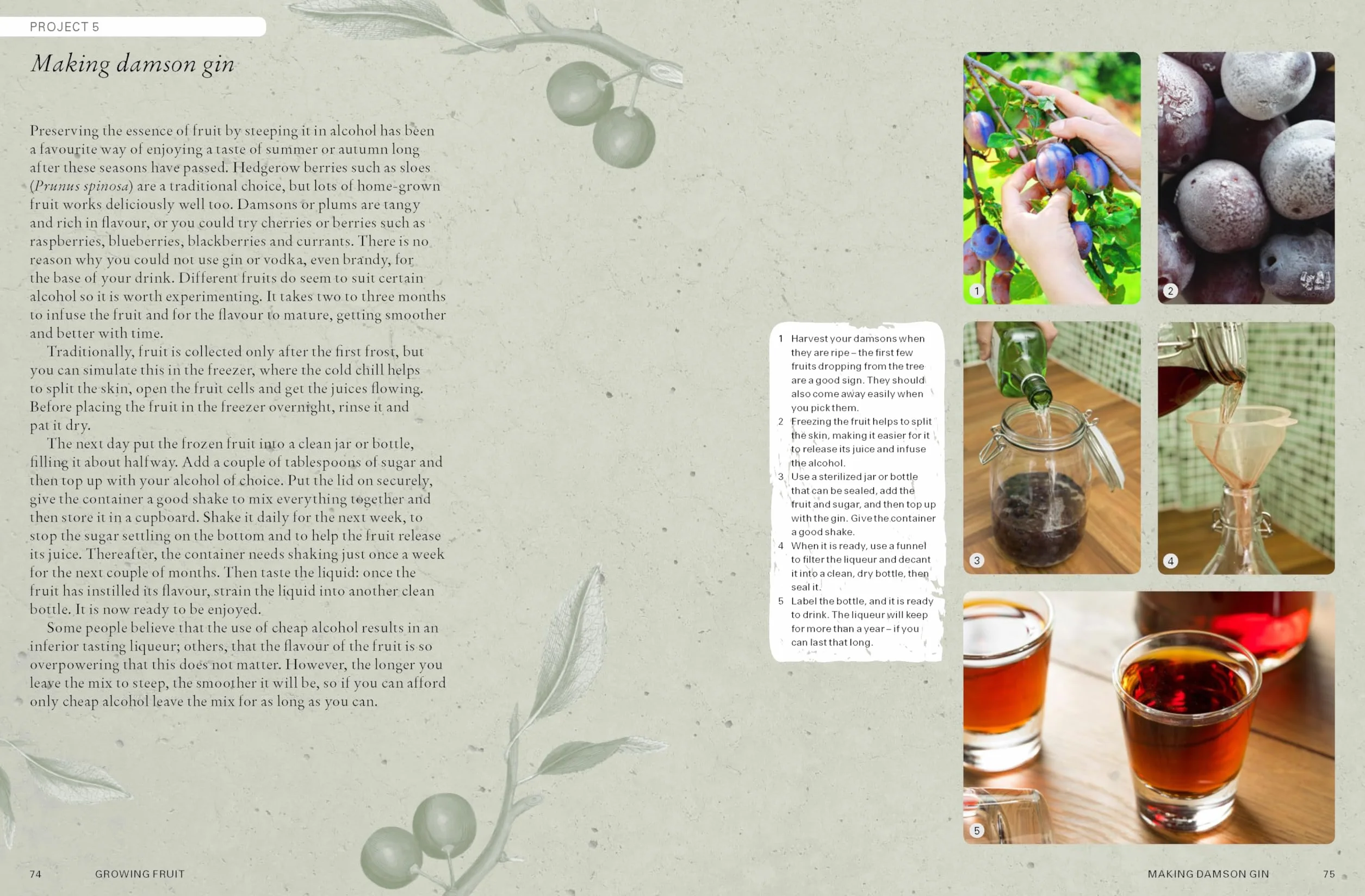 The Kew Gardener's Guide to Growing Fruit: Paperback Reissue