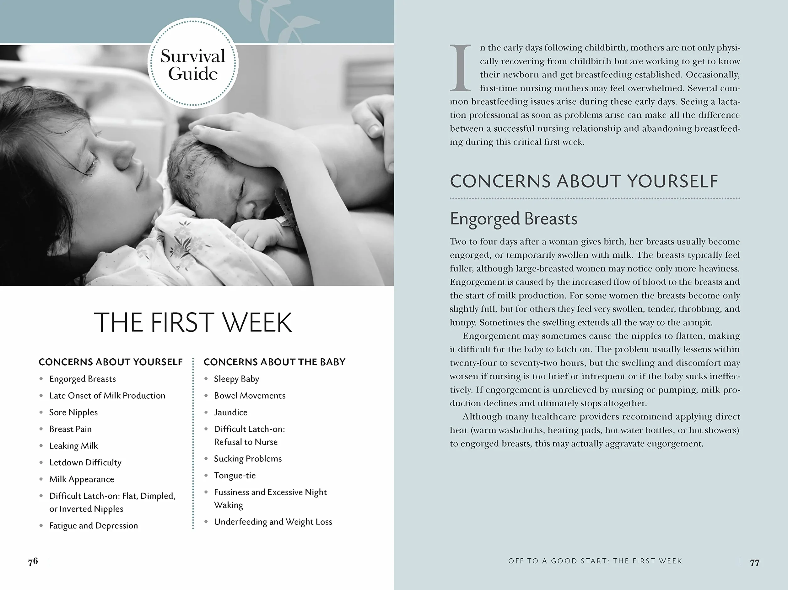 Nursing Mother's Companion 8th Edition: The Breastfeeding Book Mothers Trust, from Pregnancy Through Weaning