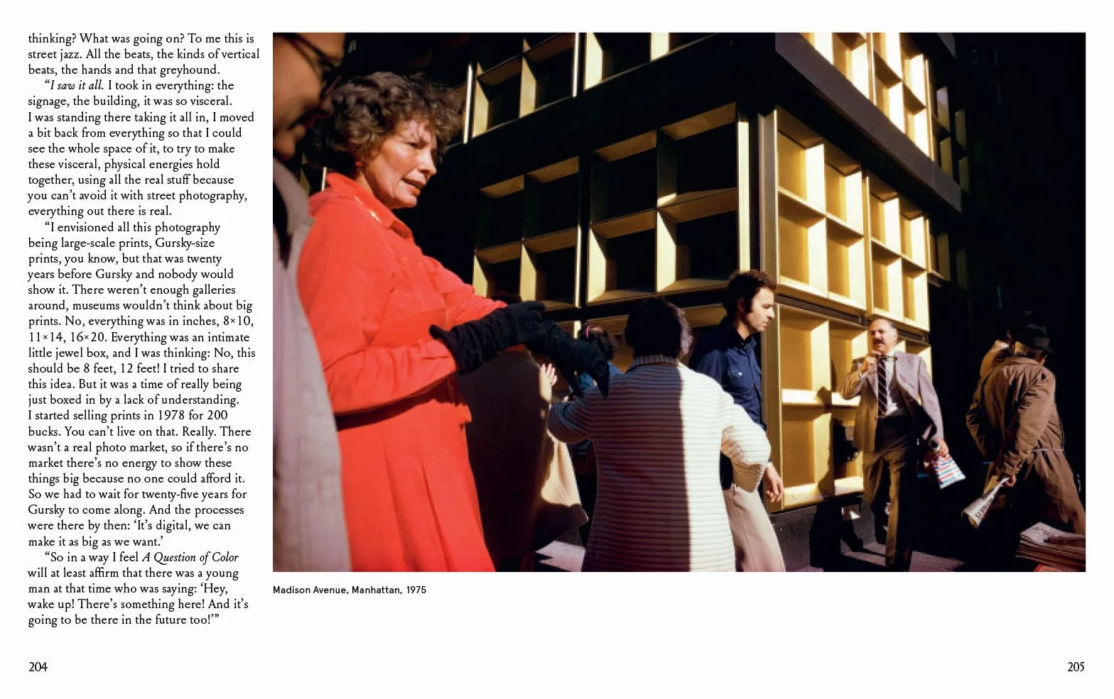Joel Meyerowitz : A Question of Colour /anglais