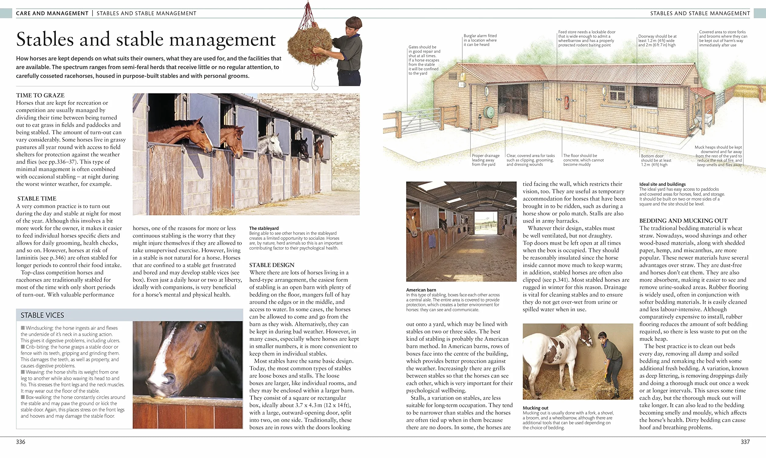 The Horse Encyclopedia: The Definitive Visual Guide to Breeds, History & Horse Care