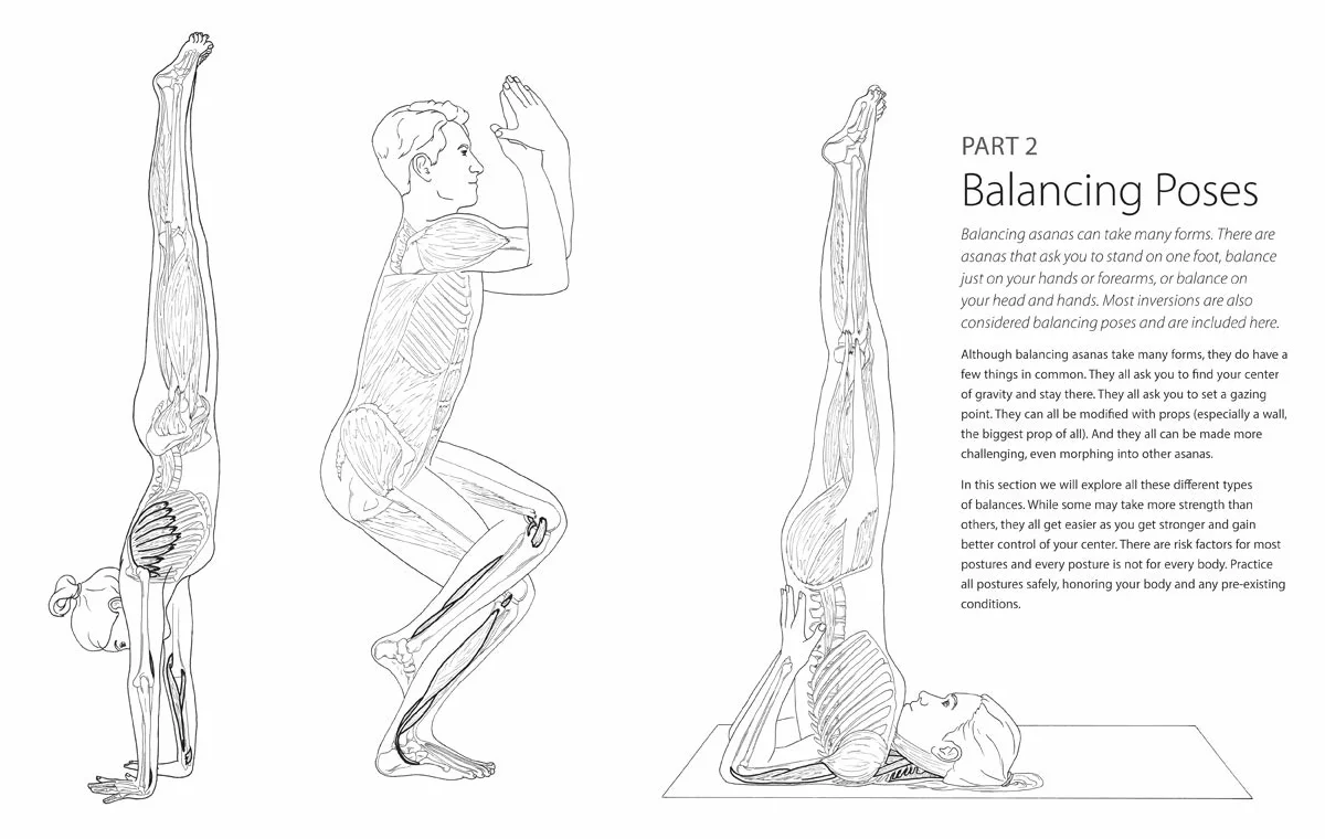 The Yoga Anatomy Coloring Book: Pose by Pose: Learn the Anatomy and Enhance Your Practice - An Educational Anatomy Coloring Book for Yoga Teachers, Medical Students, & Adults (Volume 2)