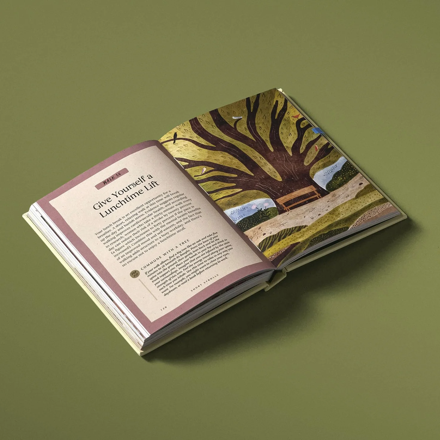The Wisdom of Walking in Nature /anglais: 50 Mindful and Therapeutic Ways to Enjoy Any Walk