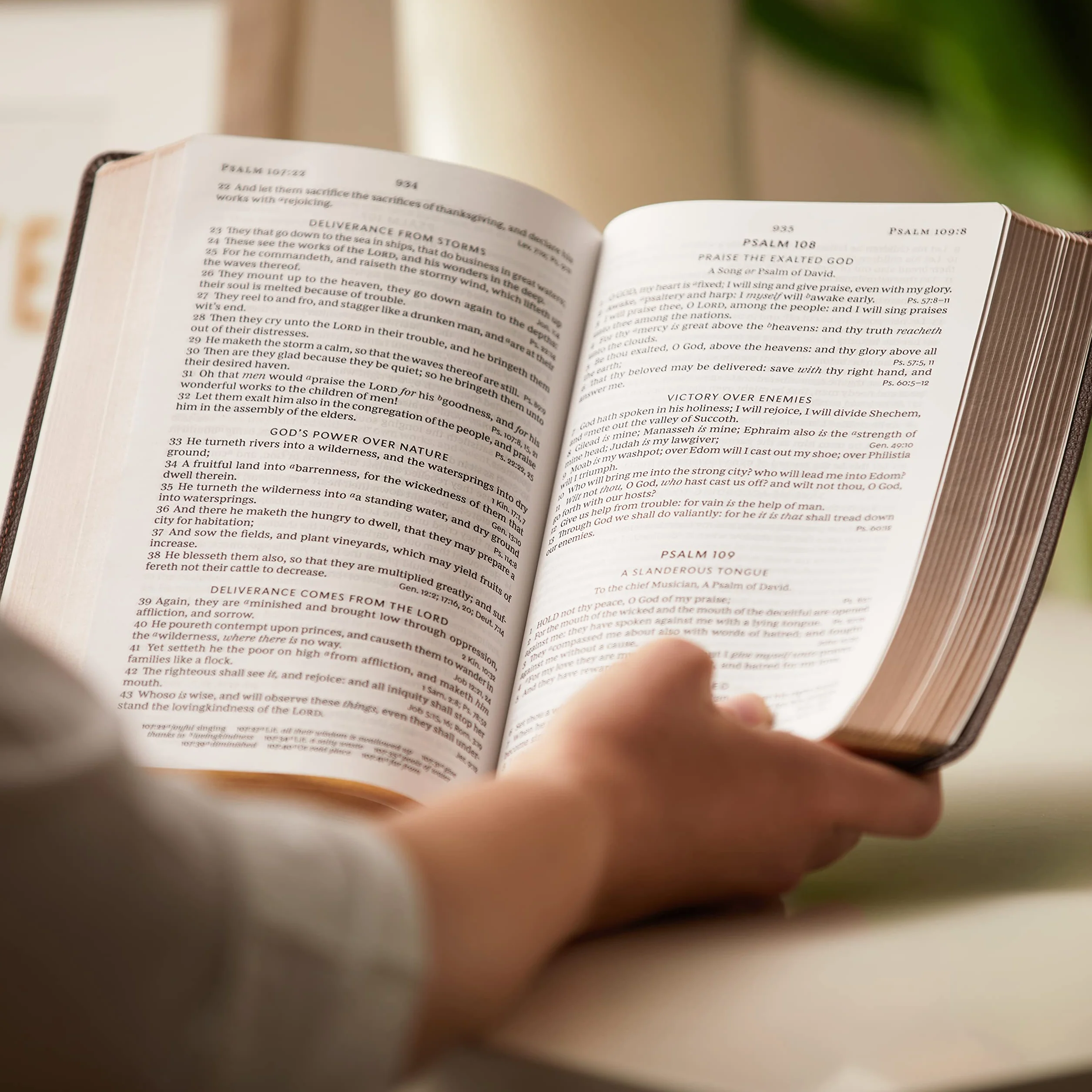 KJV Holy Bible: Large Print Single-Column with 43,000 End-Of-Verse Cross References, Brown Leathersoft, Personal Size, Red Letter, Comfort Print: King James Version: Holy Bible, King James Version