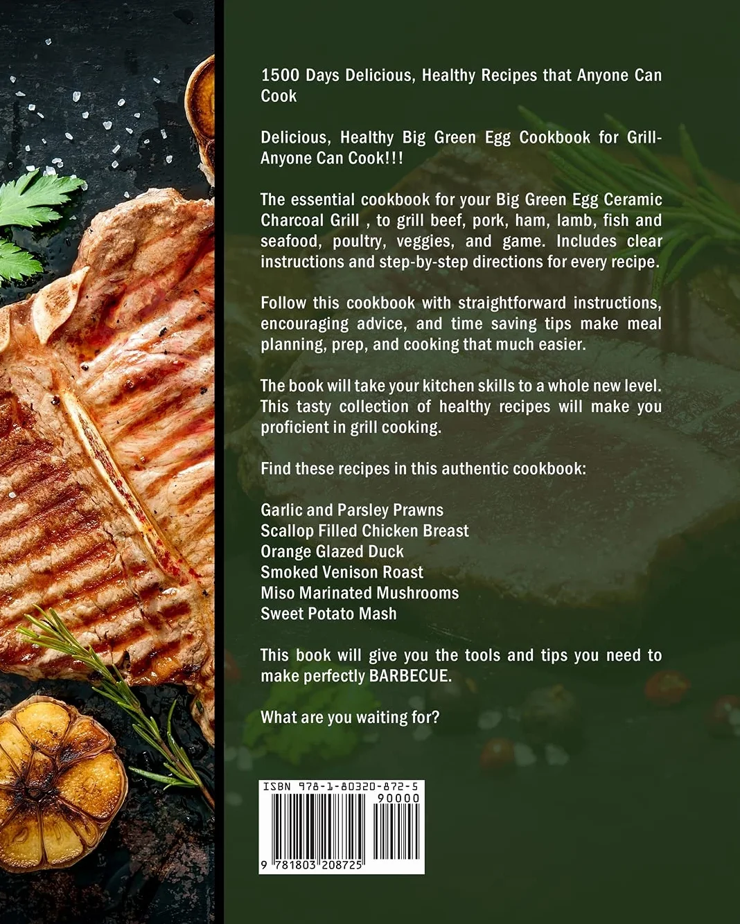 1500 Big Green Egg Ceramic Charcoal Grill Cookbook: 1500 Days Delicious, Healthy Recipes that Anyone Can Cook