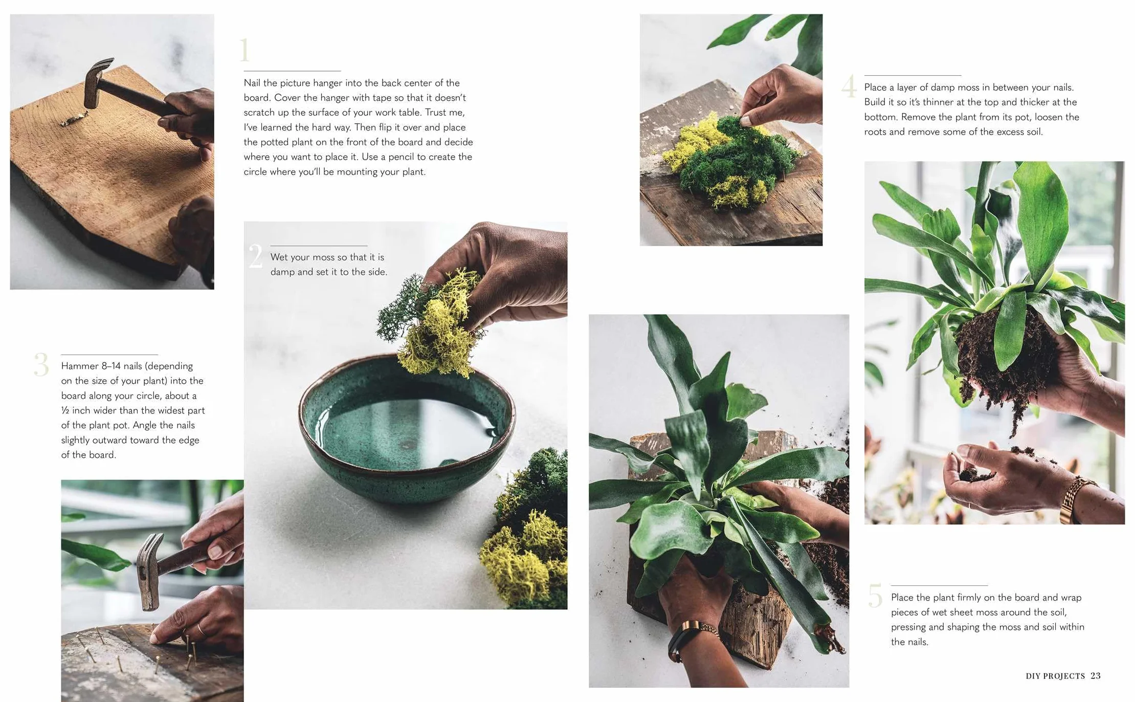 Wild Creations: Inspiring Projects to Create Plus Plant Care Tips & Styling Ideas for Your Own Wild Interior