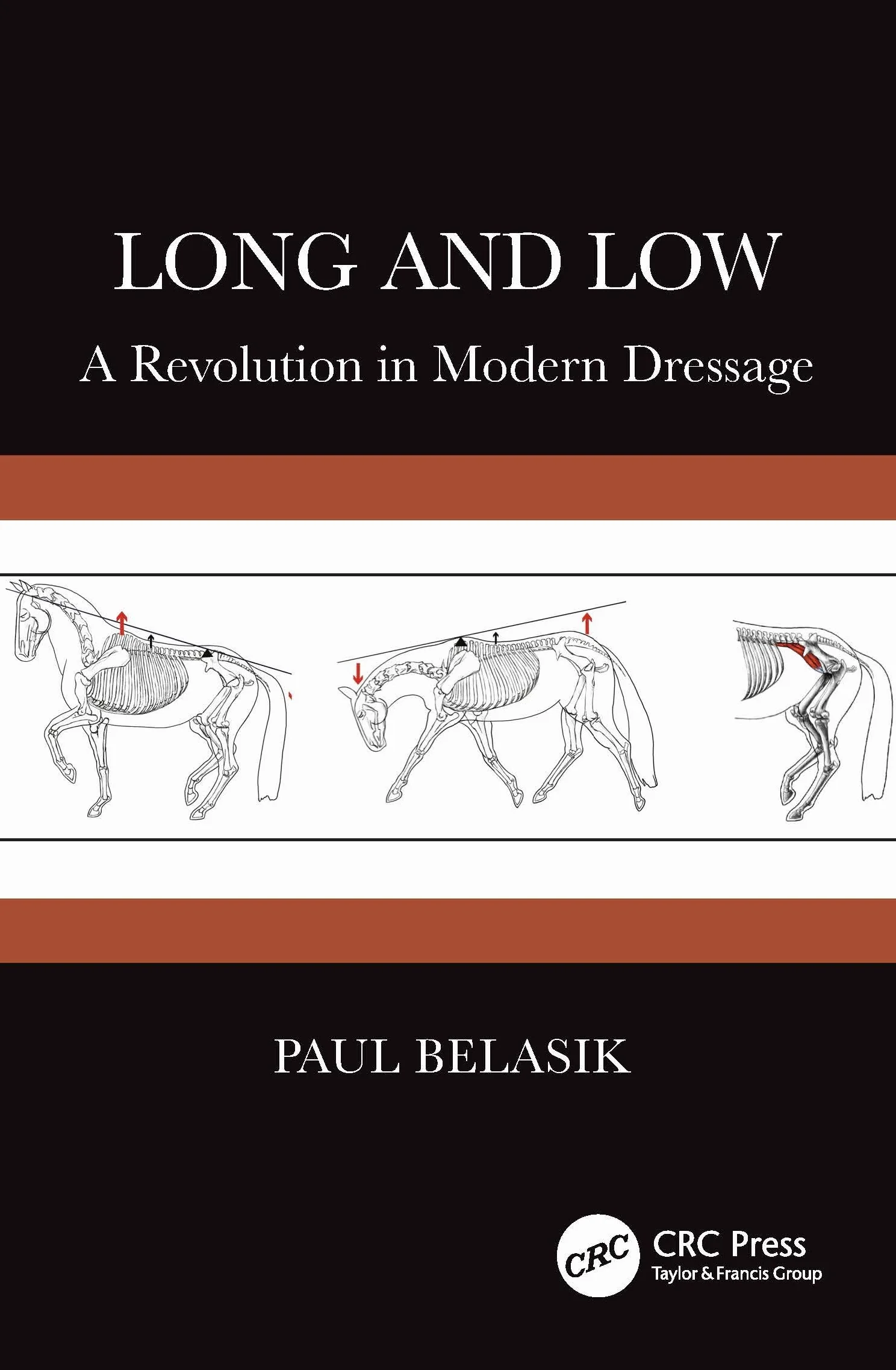 Long and Low: A Revolution in Modern Dressage