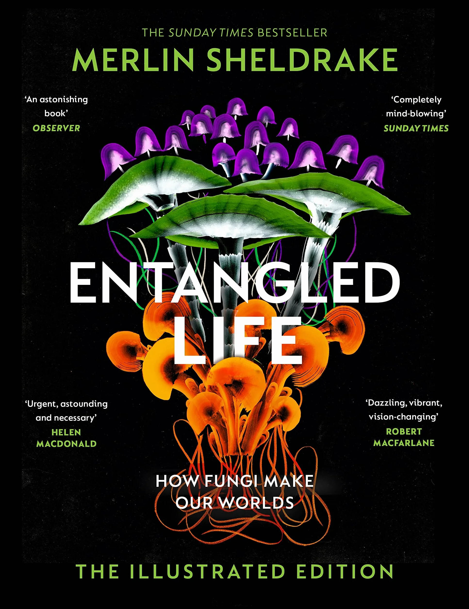 Entangled Life: A beautiful new edition of the Sunday Times bestseller featuring 100 illustrations